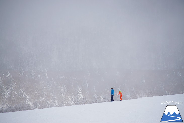 札幌国際スキー場 Welcome back POWDER SNOW !! ～パウダースノー復活～